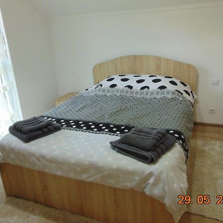 Appartement Vila Floarea De Colt à Borşa Extérieur photo