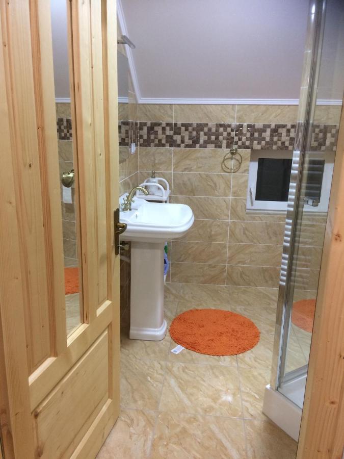 Appartement Vila Floarea De Colt à Borşa Extérieur photo