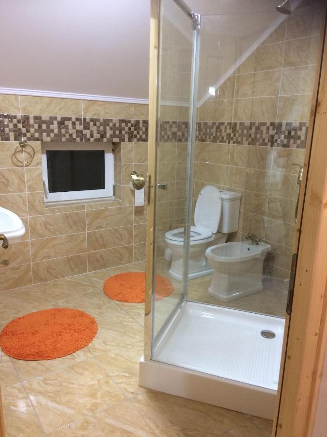 Appartement Vila Floarea De Colt à Borşa Extérieur photo