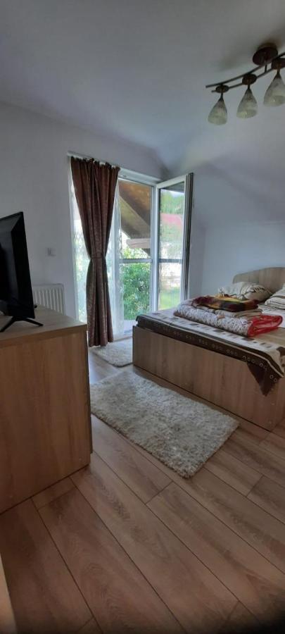 Appartement Vila Floarea De Colt à Borşa Extérieur photo