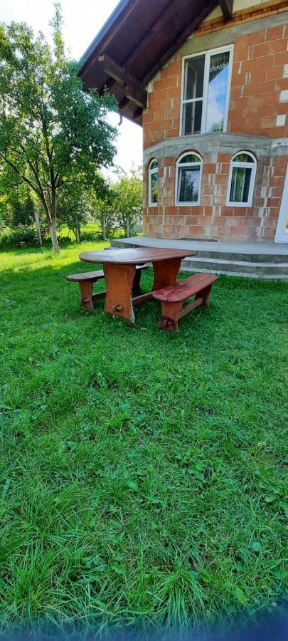 Appartement Vila Floarea De Colt à Borşa Extérieur photo