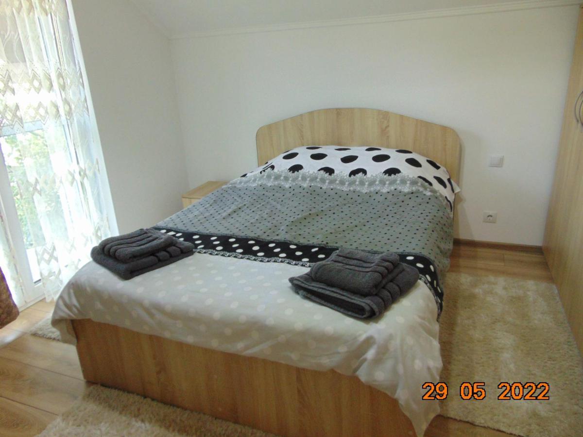 Appartement Vila Floarea De Colt à Borşa Extérieur photo