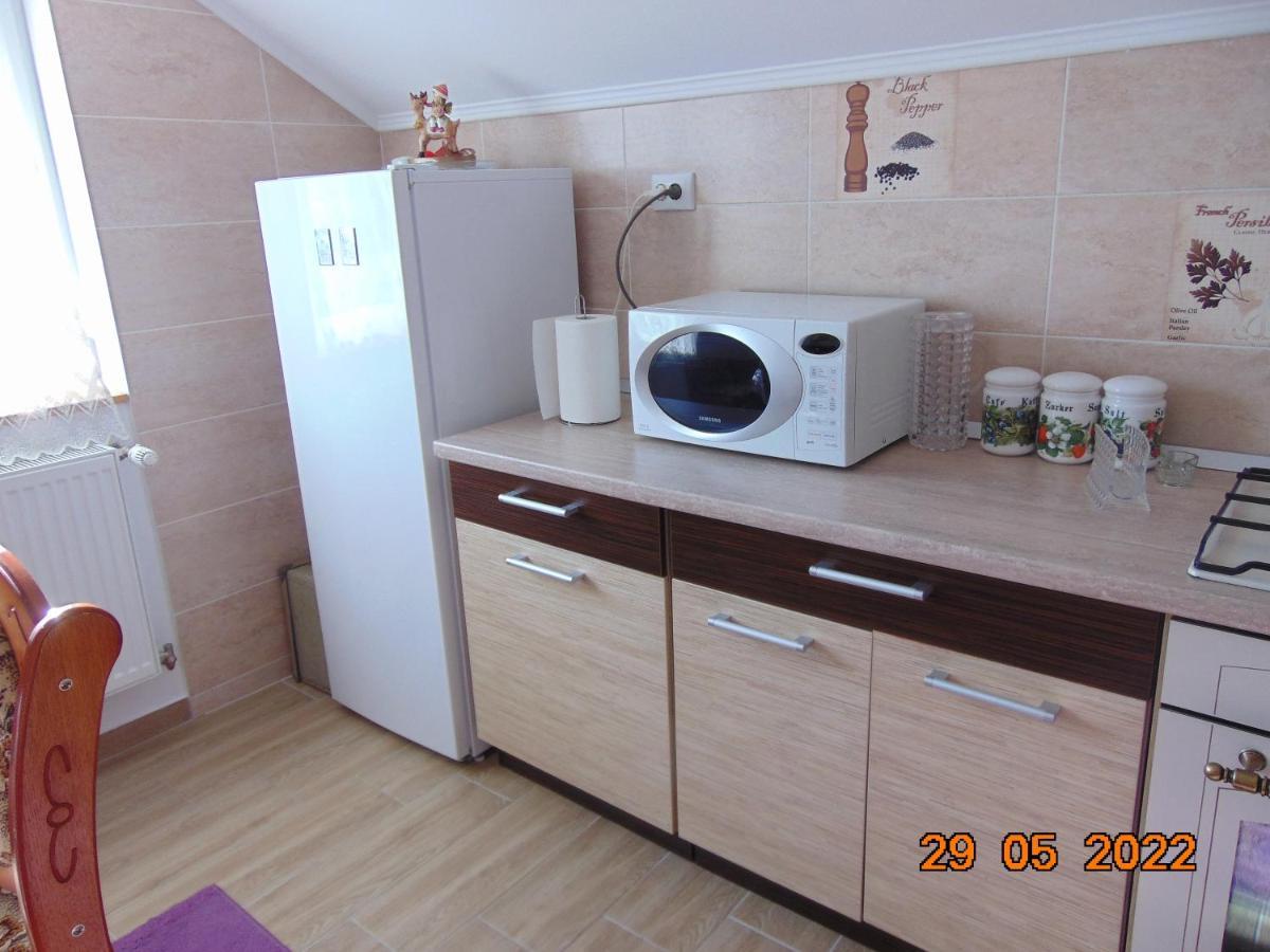 Appartement Vila Floarea De Colt à Borşa Extérieur photo